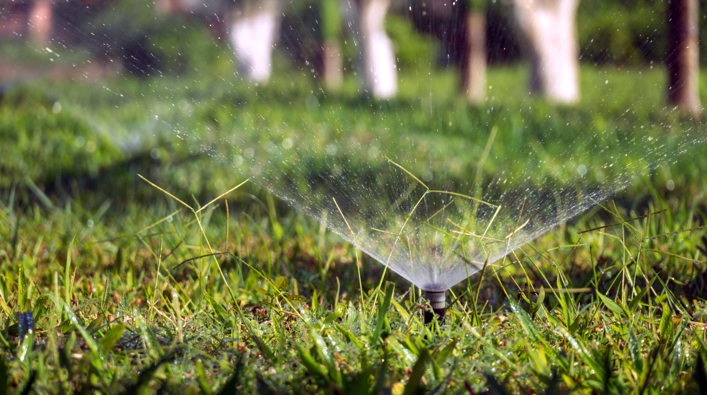 An in-ground sprinkler head spraying water low across a sunlit lawn