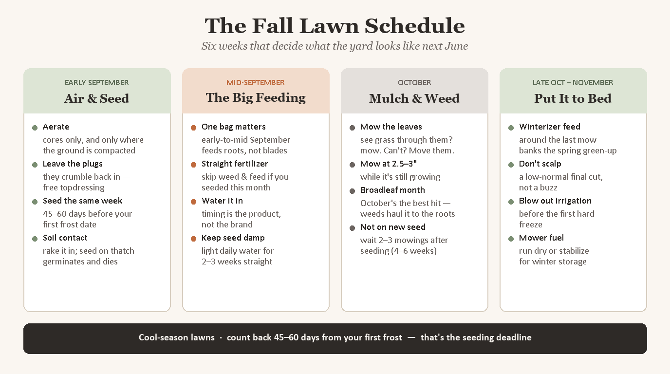 Reference card showing the six-week fall lawn schedule — aerate and overseed in early September, feed mid-month, mulch leaves as they drop, and put it to bed with a late-October winterizer feeding