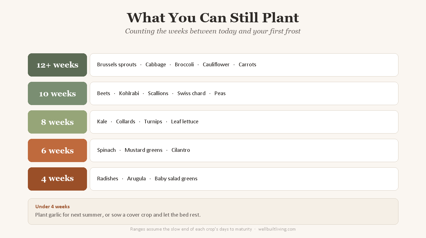 Chart of what to plant based on weeks remaining until first frost, from brussels sprouts at 12 weeks down to radishes at 4 weeks