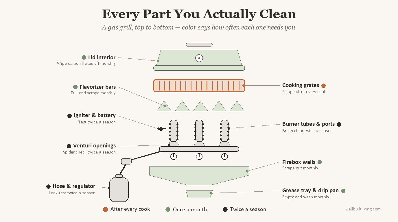 Exploded diagram of a gas grill showing every part to clean — lid, cooking grates, flavorizer bars, burner tubes, venturi openings, igniter, firebox, grease tray, and the hose and regulator — color-coded by cleaning frequency